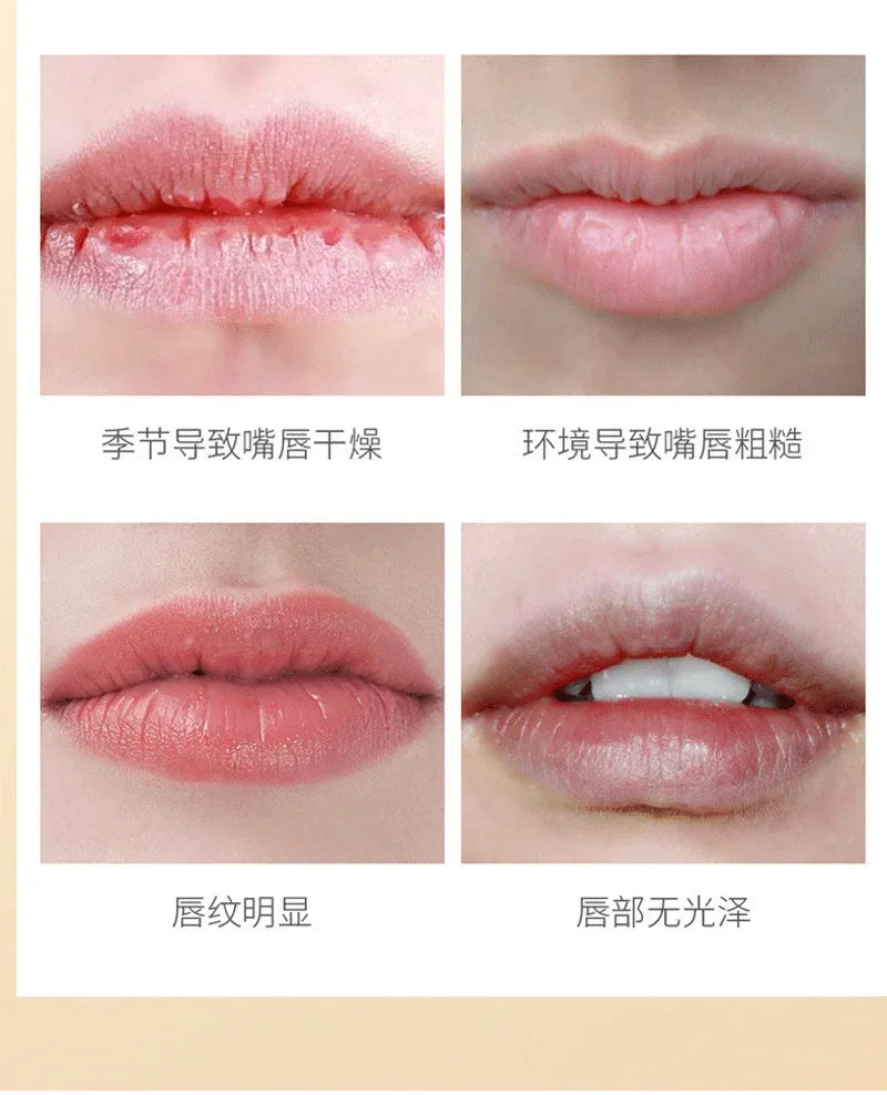 Natural Plant Lip Balm Anti Dry Cracking Lip Care Oil Fade Lip Line Lip Gloss Lipstick Repair Moisturizing Makeup Косметика 1pcs Qme
