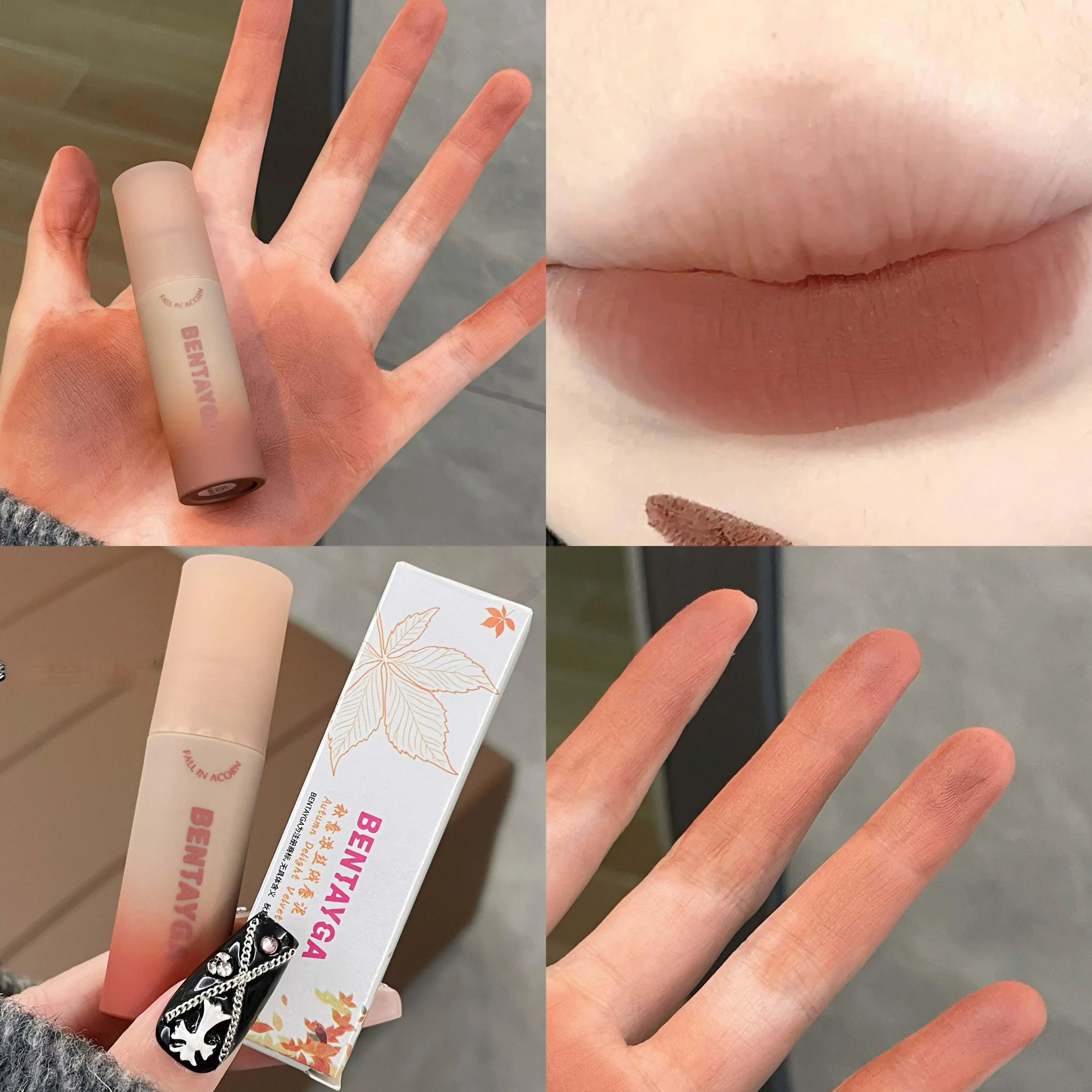 Reddish-brown Stain Lip Mud Waterproof Long-lasting Easy Wear Velvet Qme DB-24-5