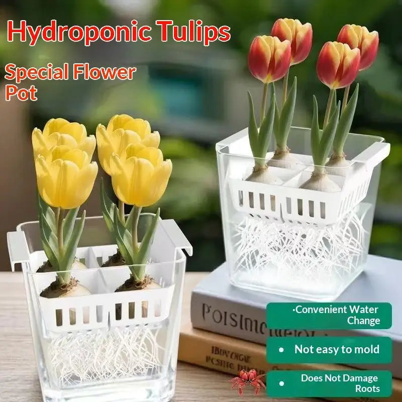 Hydroponic Containers With Breathable Support Basket Tulip Seed Hydroponic Flowerpot 4 Holes Soilless Flower Pot Home Decoration Qme