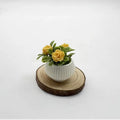 Plant Potted Plants Model Miniature Landscape Handicrafts Doll House Qme A3