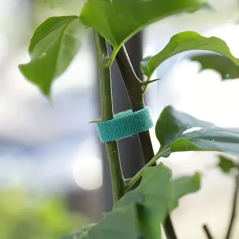 Self Adhesive Garden Tape Support For Plants Growing Climbing Reusable Plant Support Nylon Cable Tie Fastener Garden Accsesories Qme