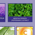 Oral Drop Mint Flavor Breath Refresher Repairs Gums Reduces Stain Qme Default Title