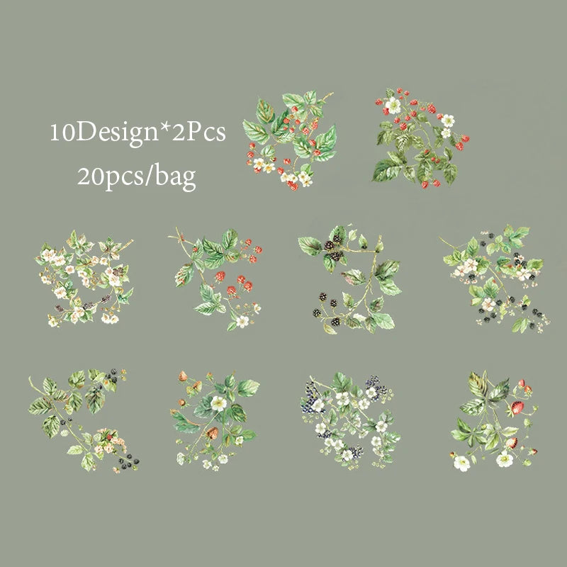 20 Sheets/Bag PET Shell Light Stickers Plant Fruit Pattern Sticker For Hand-Collage Material DIY Greeting Card Cup Decoration Qme 6