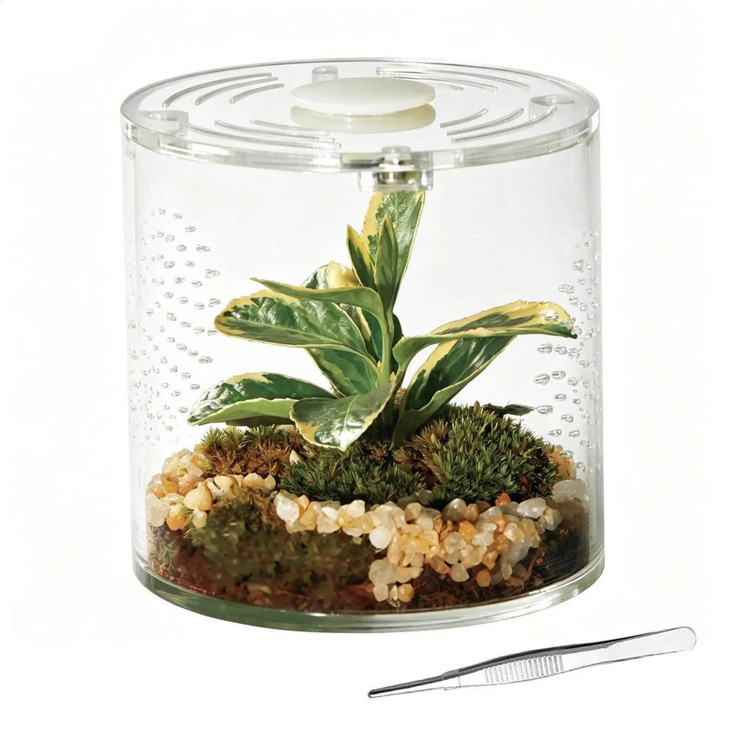 Tarantula Enclosure 10 2x10 Clear Acrylic Escape Proof Ventilation Qme