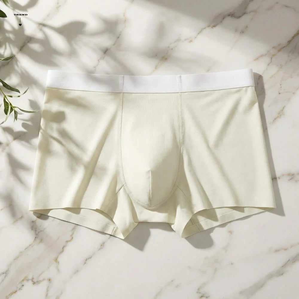 Simple Quick-dry Men's Boxer Briefs Cool Feeling Breathable Seamless Panties Lingerie Shorts Ice Silk Panties Gifts Qme