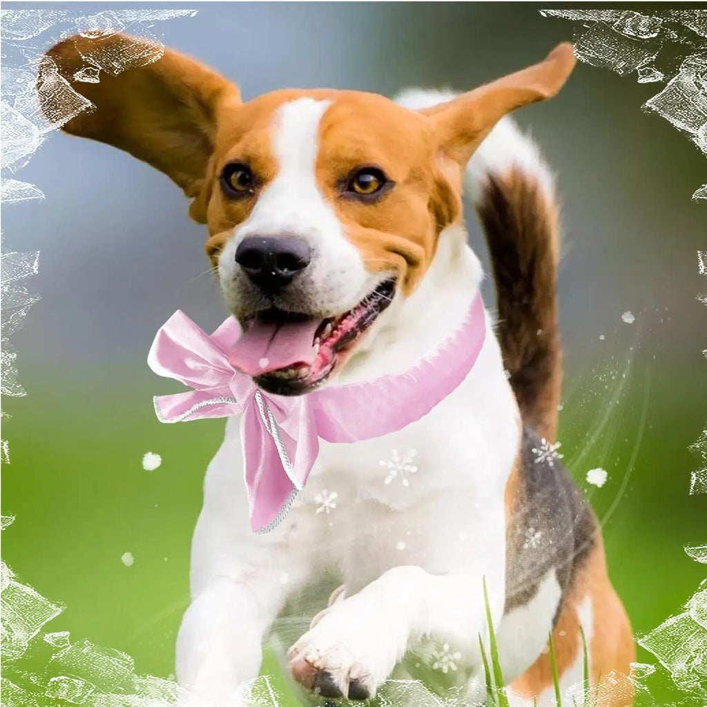 Cooling Scarf Dogs Reusable Washable Neck Wrap Outdoor Pet Cat Ice Qme