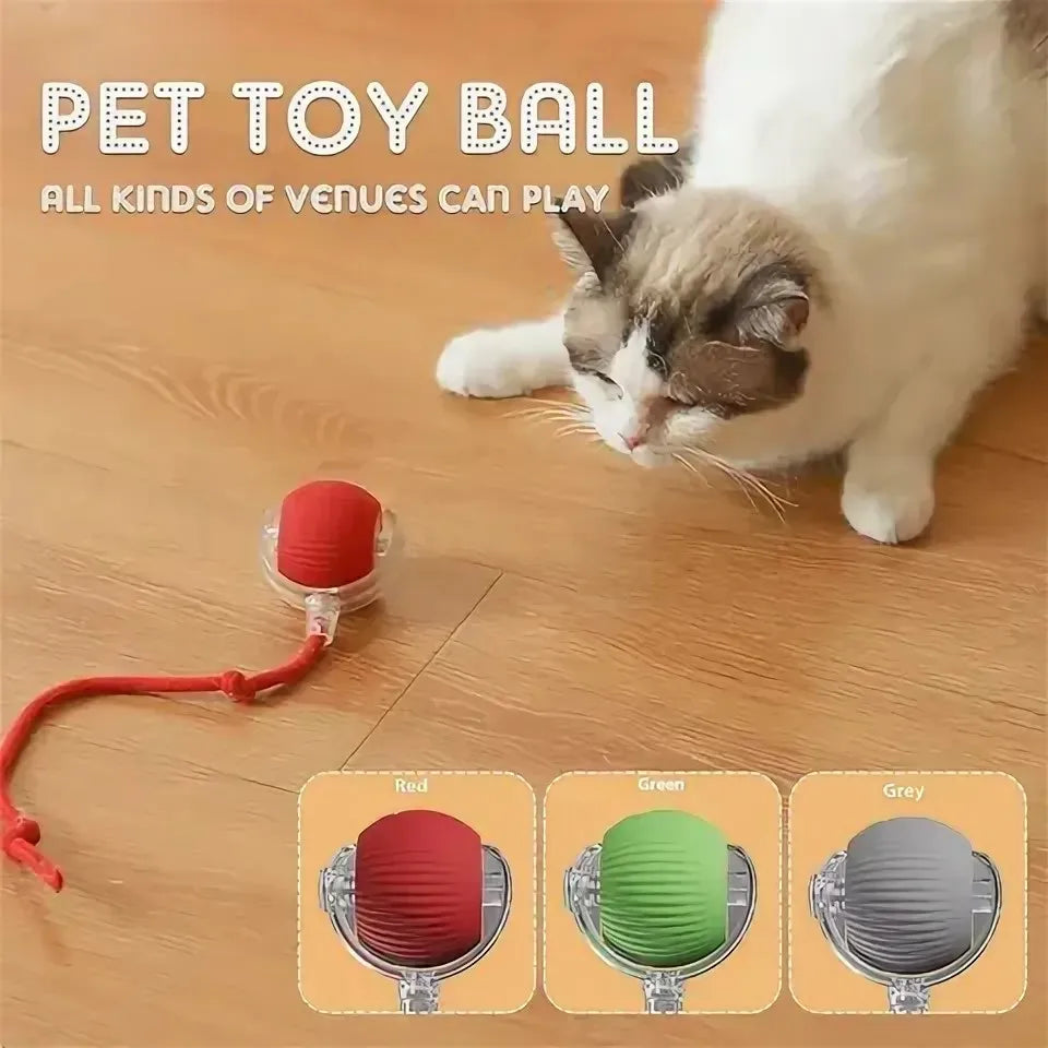 New interactive cat ball toy with automatic rolling ball simulation tail rechargeable intelligent pet electric toy Qme