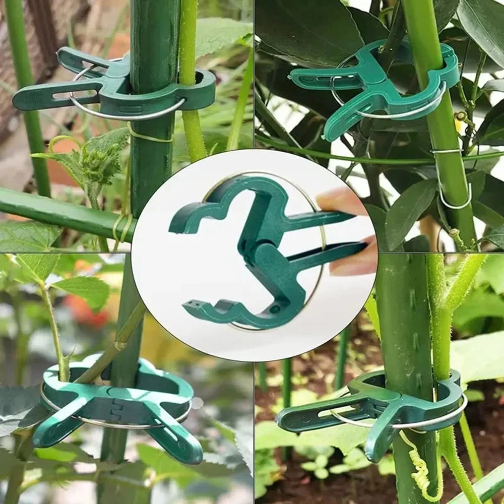 20PCS Garden Butterfly Orchid Garden Set Tomato Plants Clip Plastic Clips Gardening Tools Qme