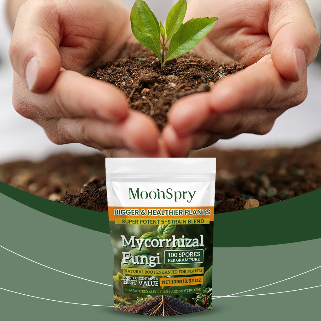 Natural Plants Root Enhancer Promote Root Development Enhance Absorption Capacity Improve Disease Resistance Plant Rooting Agent Qme
