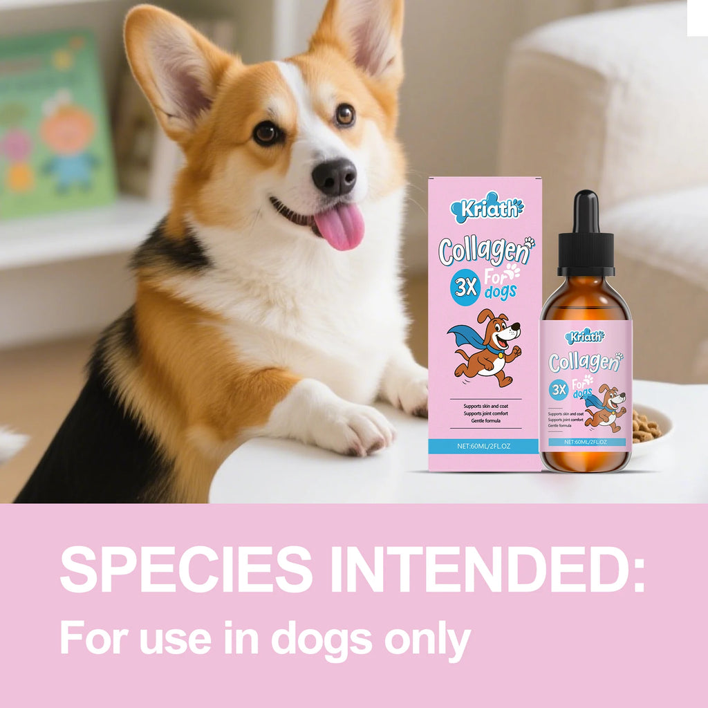 Pet Collagen Drops Effectively Maintain Cartilage Health Support Joint Mobility Promote Joint Lubrication Pet Dietary Supplement Qme