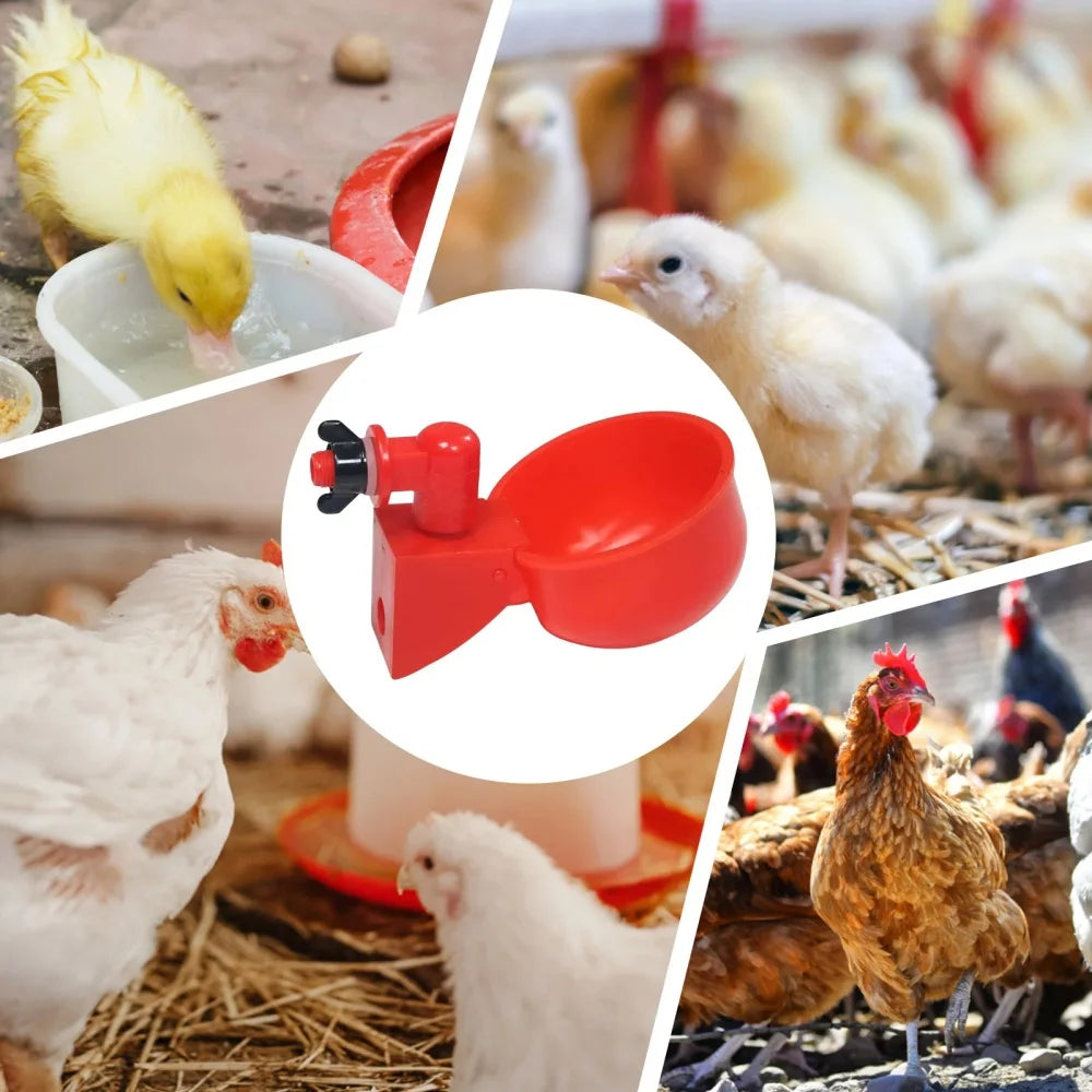 6pcs Poultry Water Dispenser Chicken Goose Universal Automatic Drinker Plastic Water Feeder Quail Drinker Farm Yard Accessories Qme