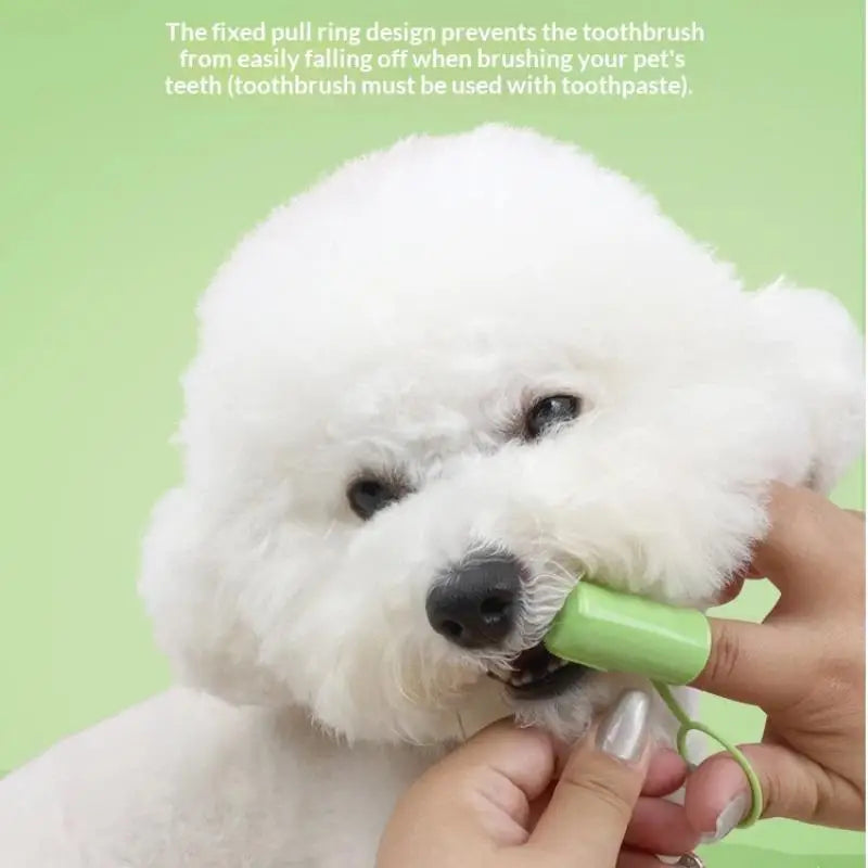 Easy Use Daily Dental Care Brushing Oral Cleaning Tools Pet Finger Qme