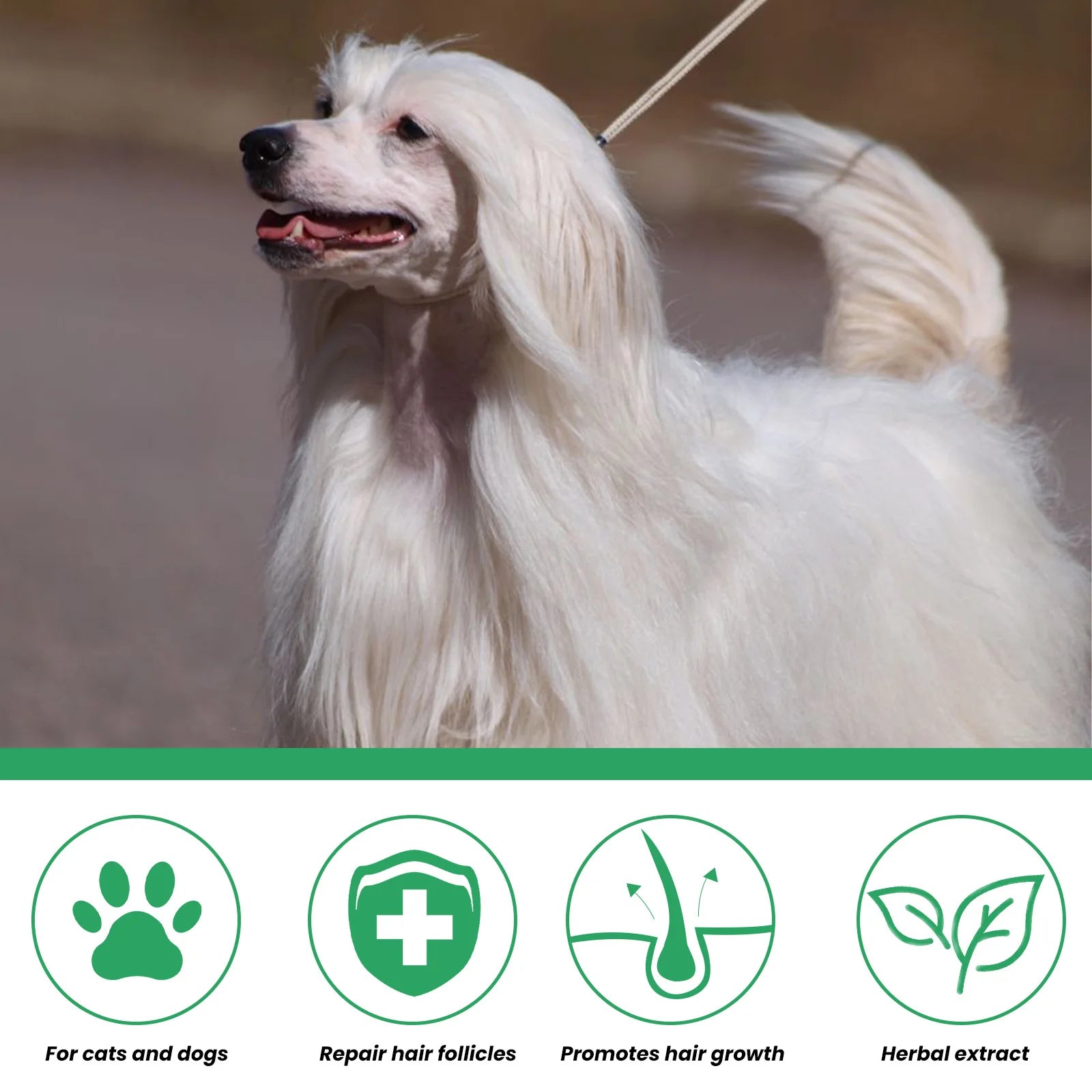 Pet Skin Care Spray Hair Regrowth Itch Relief Mite Removal Deodorization Soothing Anti Flea Lice Insect Killer Pet Moss Spray Qme
