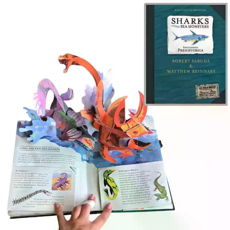 Sharks And Other Sea Monsterss Vivid Illustrations Interactive 3D Sharks Model Book Gift Qme