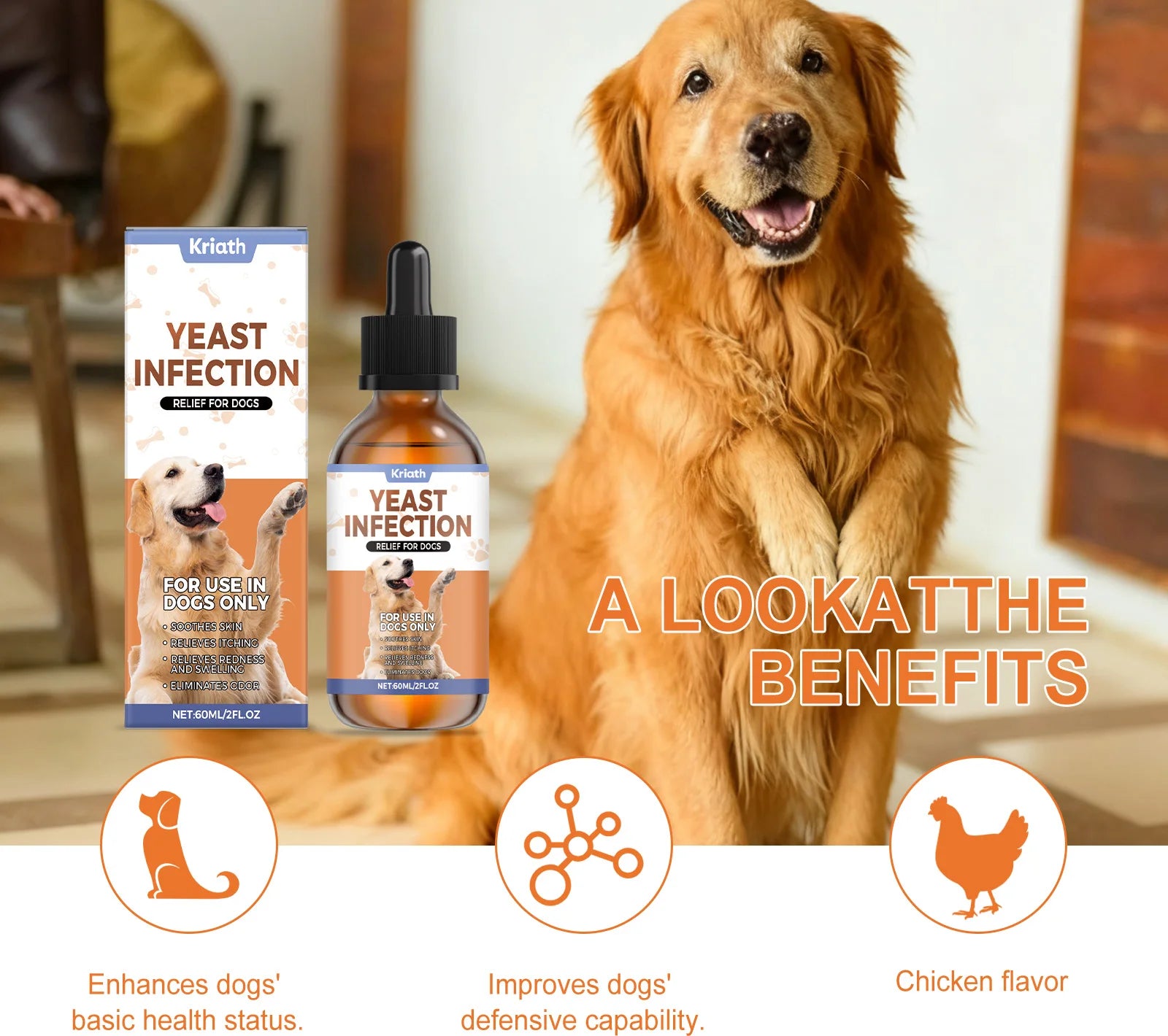 Dog Specific Herbal Drop Effectively Relieve Skin Itching Redness Maintain Immune System Health Chicken Flavor Herbal Care Drops Qme