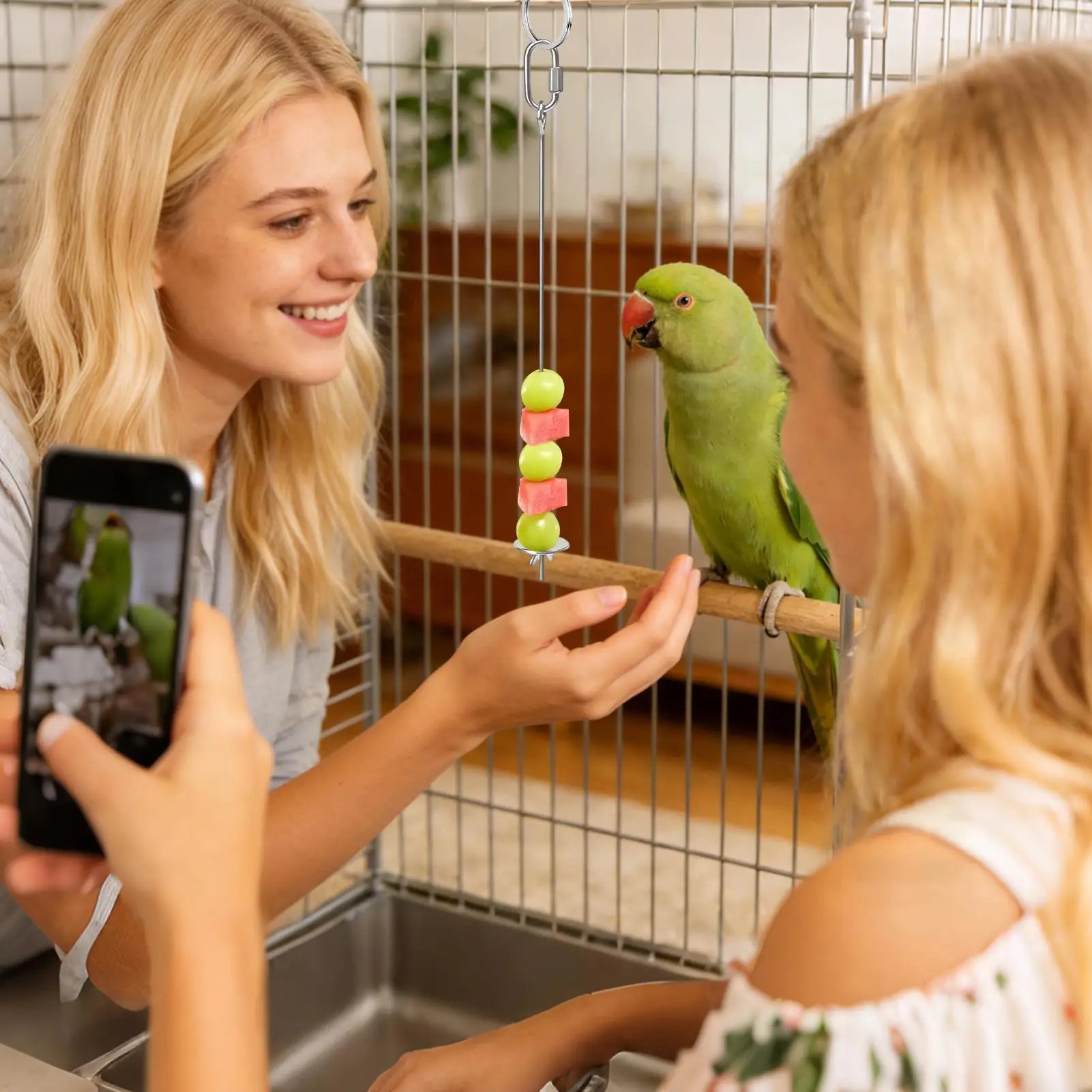 Bird Cage Food Skewer Stainless Fruit Stick Holder Bird Food Holder for Cage Foraging Macaw Parakeet Cockatiel Conure Finch Qme