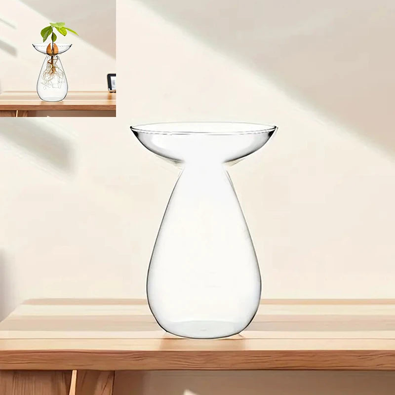 Colorful Transparent Avocado Hydroponic Vase Glass Avocado Seed Starter Vase Plant Seed Growing Kit Gardening Lovers Home Decor Qme A6