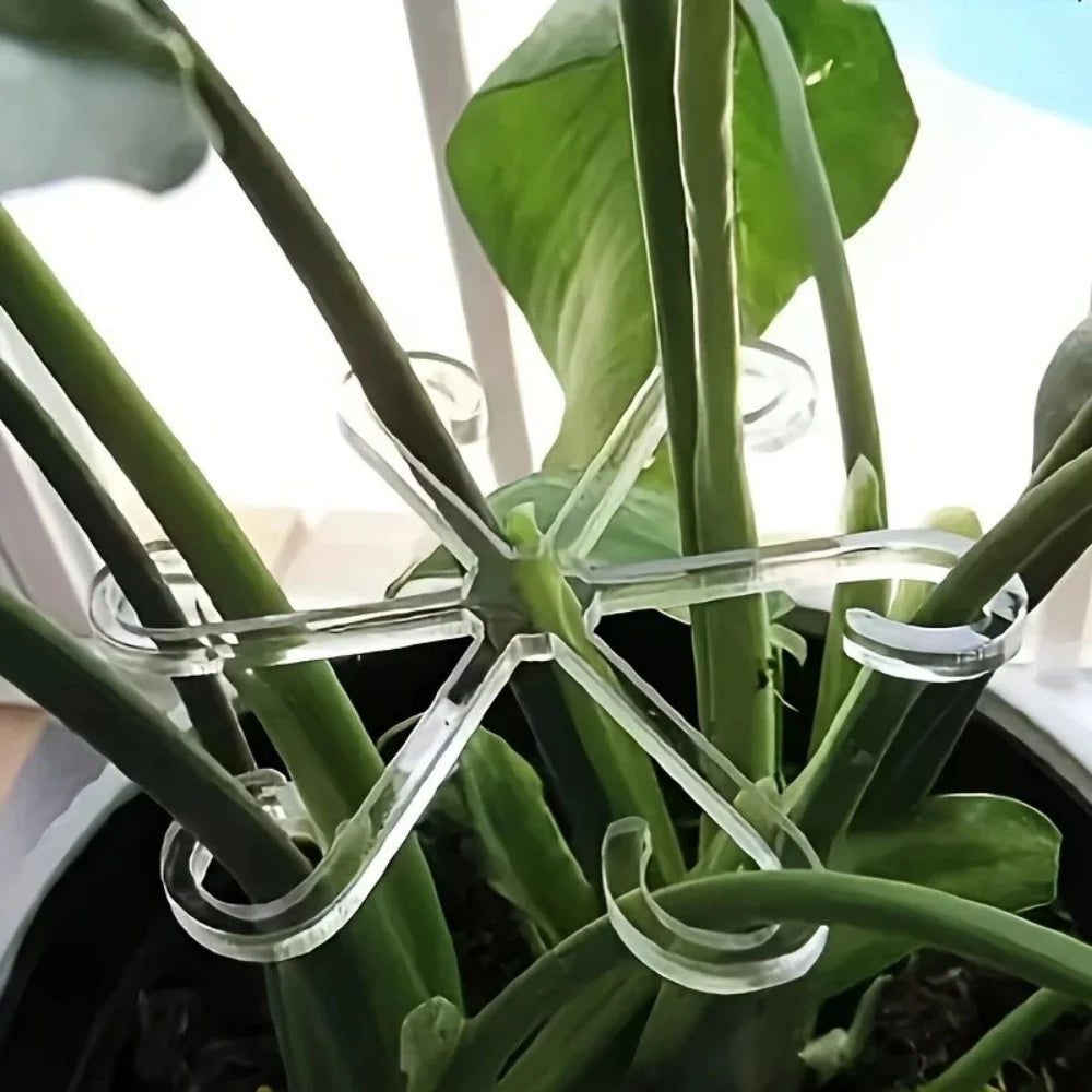 4Pcs Plant Stem Support Clips Turtle Back Bamboo Flower Stem Fixing Rack Climbing Support Holder Hydroponic Tree Branch Fixation Qme