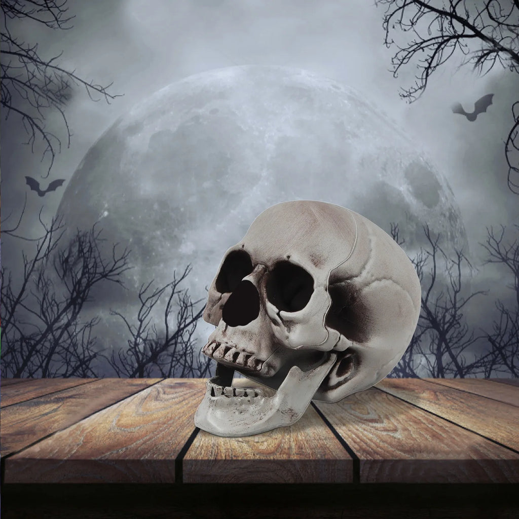 Halloween Realistic Plastic Skull Head Skeleton Model Halloween Party Home Yard Decoration Haunted House Horror Props Qme