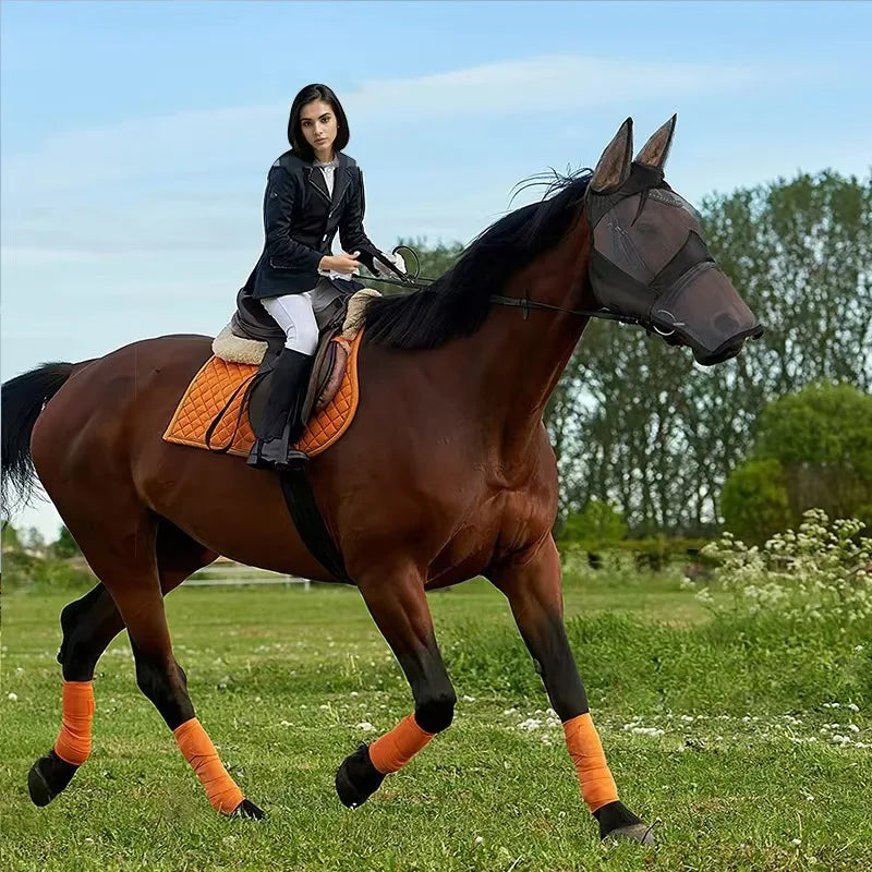 Caremaster Horse Fly Mask Full Face Cool Breeze Mesh Protects Eyes Qme