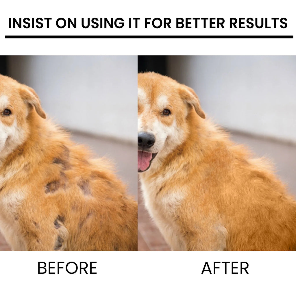 Pet Skin Care Spray Hair Regrowth Itch Relief Mite Removal Deodorization Soothing Anti Flea Lice Insect Killer Pet Moss Spray Qme