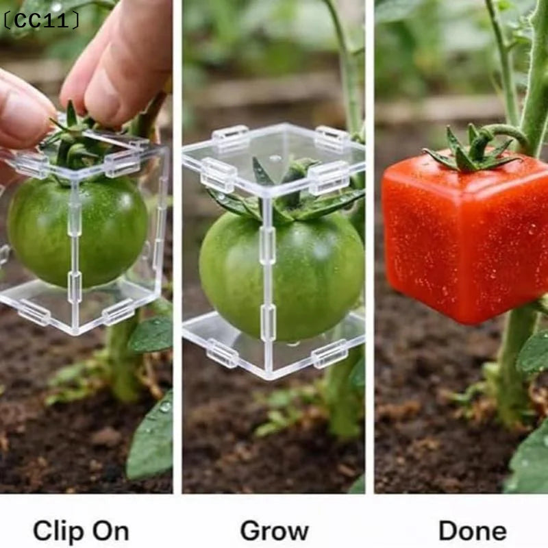 Mini Cube Triangle Fruit Shaping Mold Reusable Transparent Plastic Qme