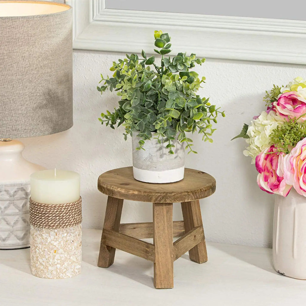 Plant Stand for Indoors Wooden Potted Plant Support Stool Indoor Plant Round Display Table for Living Room Kitchen Balcony Study Qme