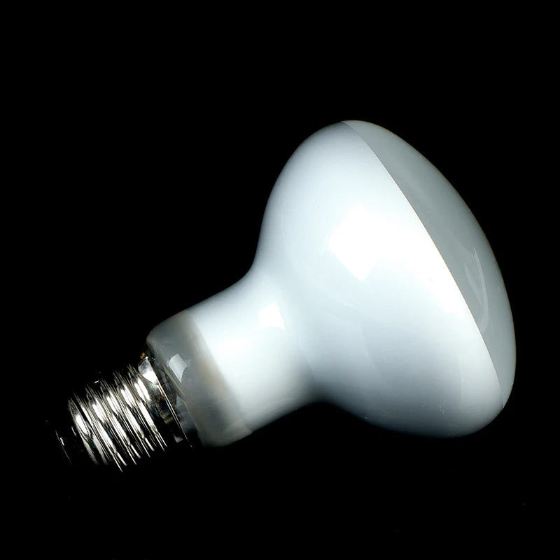 UVA+UVB Reptile Lamp Bulb Turtle Basking UV Light Bulbs Heating Lamp Amphibians Lizards Temperature Controller Qme