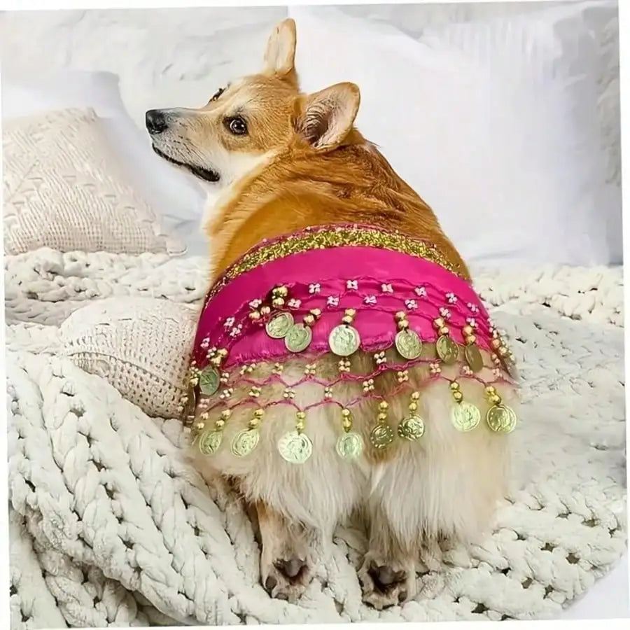 Fun Belly Dance Pet Shiny Bib Auspicious Luck Adjustable Holiday Qme