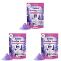 Toilet Cleaning Powder Powerful Cleaning Easy to Remove Stain Eliminate Odor Fresh Fragrance Household Toilet Descaling Powder Qme 3 x 100g Boxed