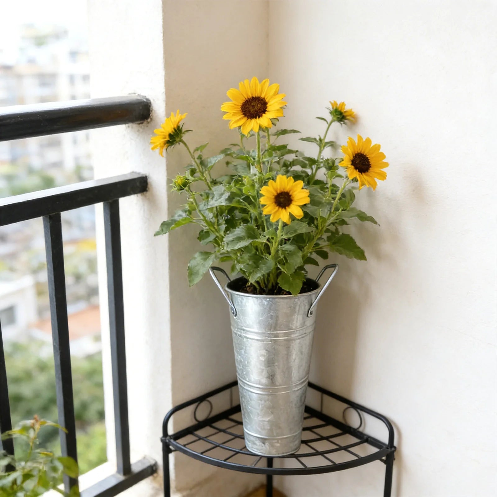 6Pcs Small Galvanized Tin Flower Buckets Flower Buckets with Handles Metal Flower Vase for Home Garden Table Centerpiece Decor Qme