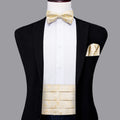 Hi-tie Mens Cummerbunds Vintage Formal Jacquard Pailey Bowtie Hanky Qme YF-2039