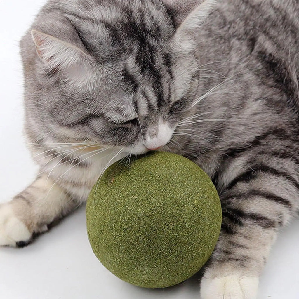 1pcLarge Catnip Balls 10cm Cat Mint Ball Catnip Toys Healthy Lickable Natural Catnip Ball Super Large Self-Relieving Cat Treats Qme