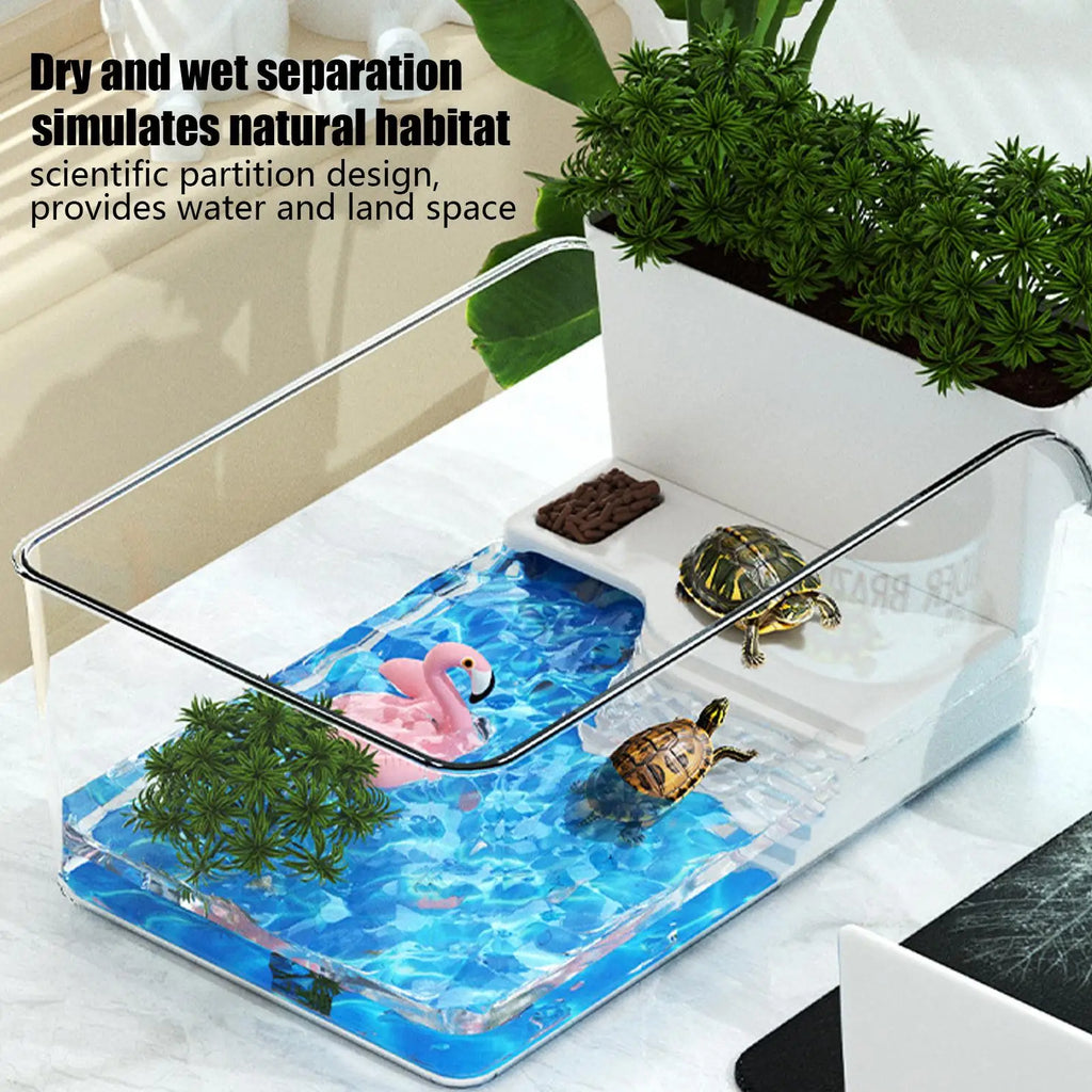 Small Turtle Tank Transparent Turtle Terrarium Small Tortoise Aquarium for Terrapin Home School Science Class Community Animal Qme