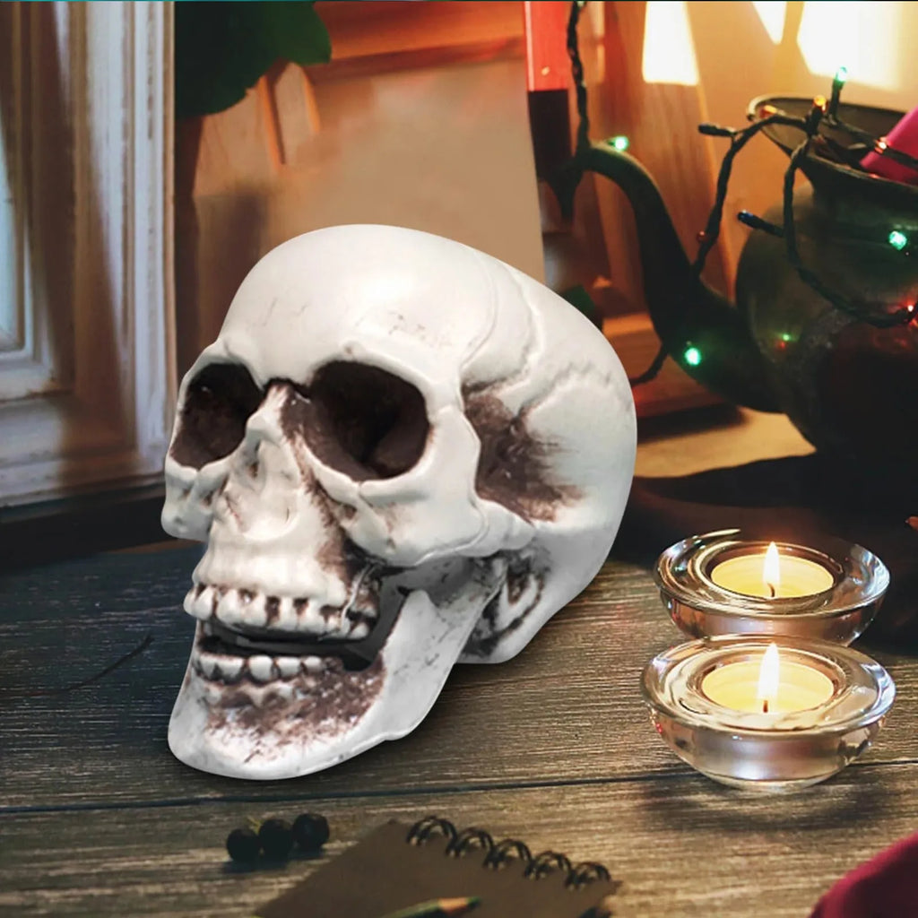 Halloween Realistic Plastic Skull Head Skeleton Model Halloween Party Home Yard Decoration Haunted House Horror Props Qme