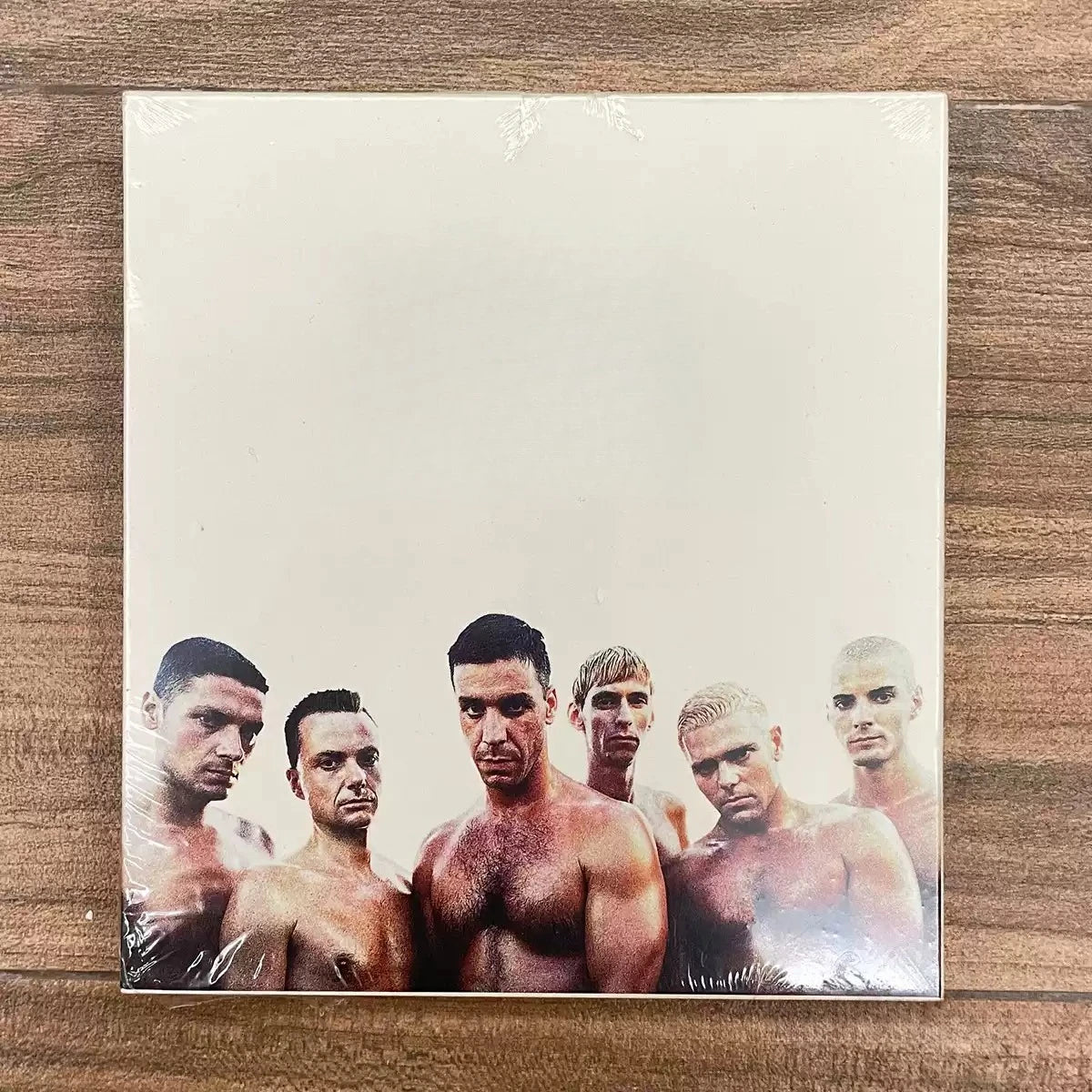Classic Rock CD Album, Foldout Portrait Art Design, Remastered High-Fidelity Audio Media, Collector's Edition for Rock Fans Qme Metal CD
