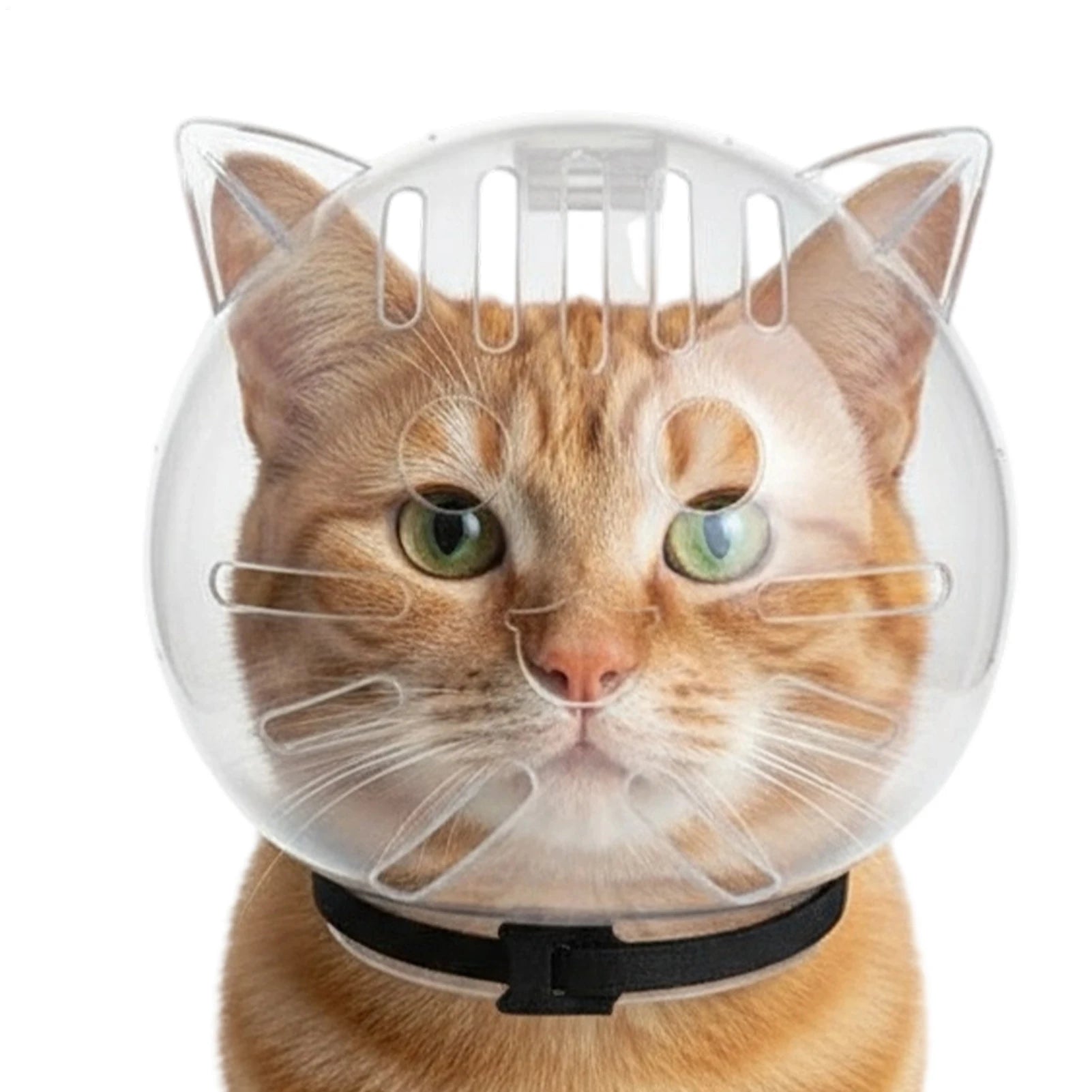 Cat Bubble Muzzle Transparent Breathable Face Cover Cat Hood for Small Dogs Bathing Shedding Nail Trimming Shower Behavior Qme