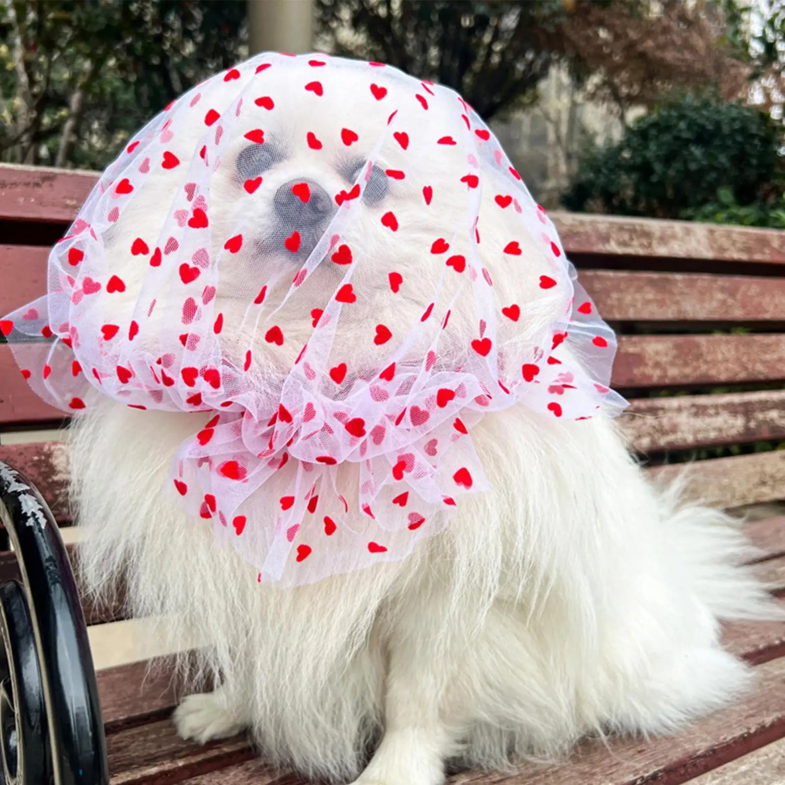 Mesh Head Net for Dogs 4 Pieces Adjustable Anti-Pickup Mesh Cover Dog Face Net for Cat Puppy Outdoor Walking Home Indoor Qme