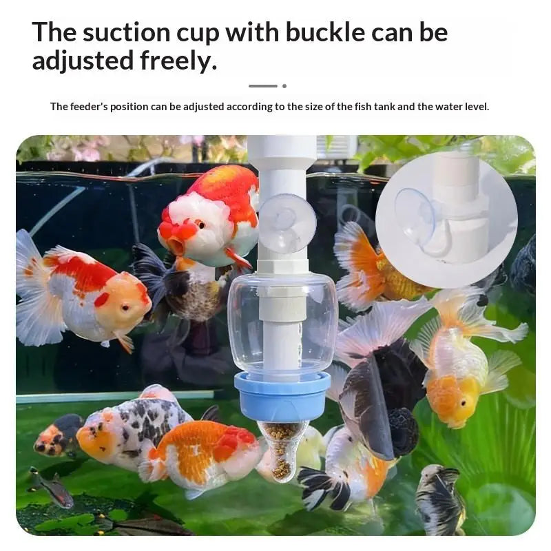 No Turbid Water Fish Feeder Small Tank Precise Pacifier Fixed Point Qme