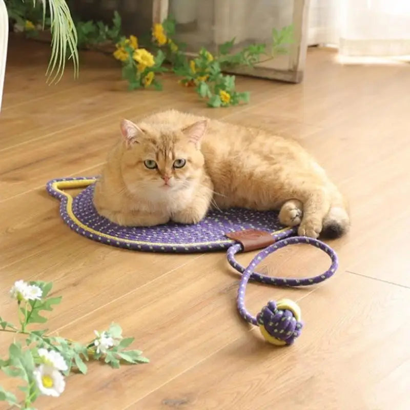 Cat Scratching Board Pet Supplies Indoor Round Shape Scratcher Mat Qme