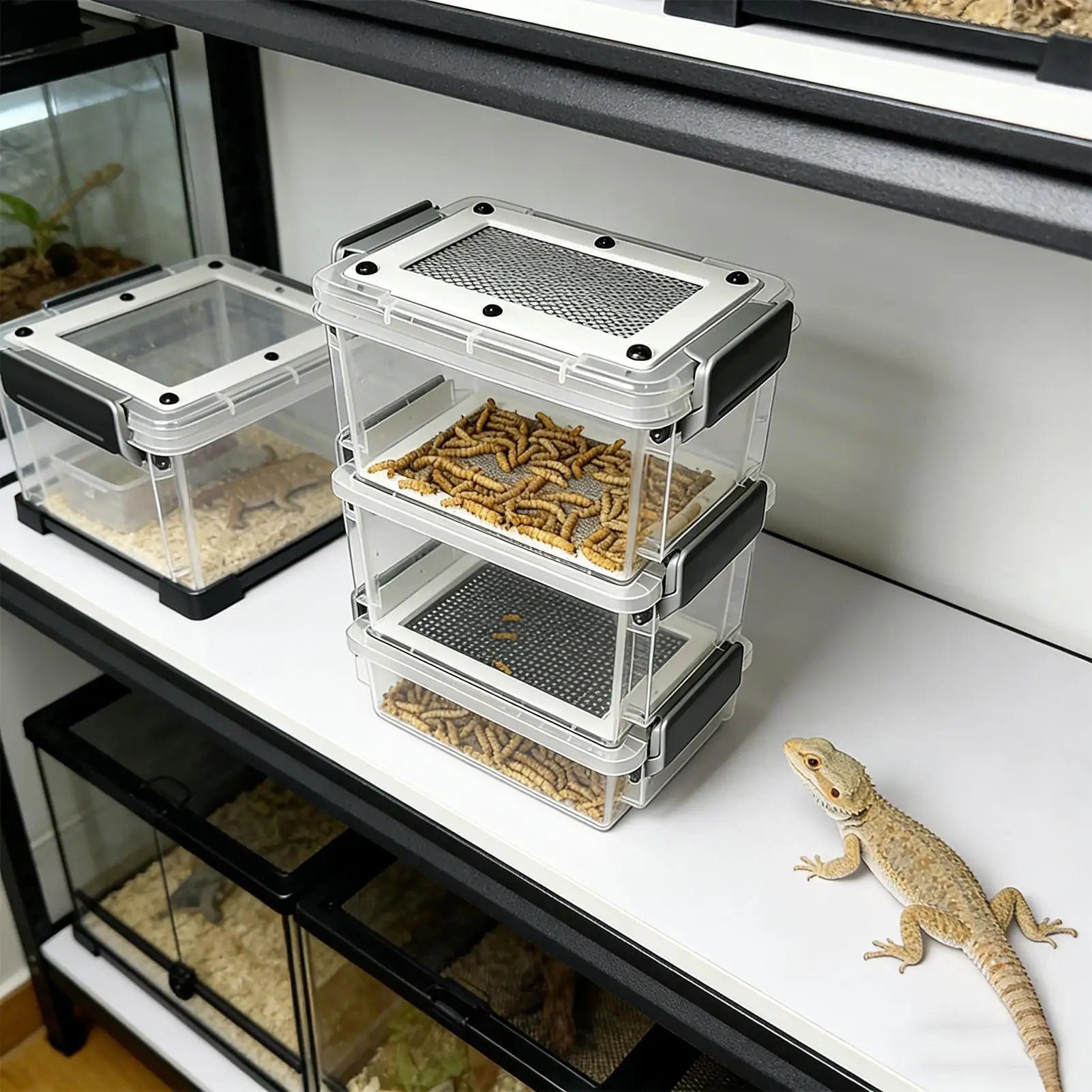 Mealworm Breeding Kit 3-Layer Silkworm Feeder Bin Corn Worm Breeder Box for Pet Parents Animal Lovers Keepers Breeders Hobbyists Qme