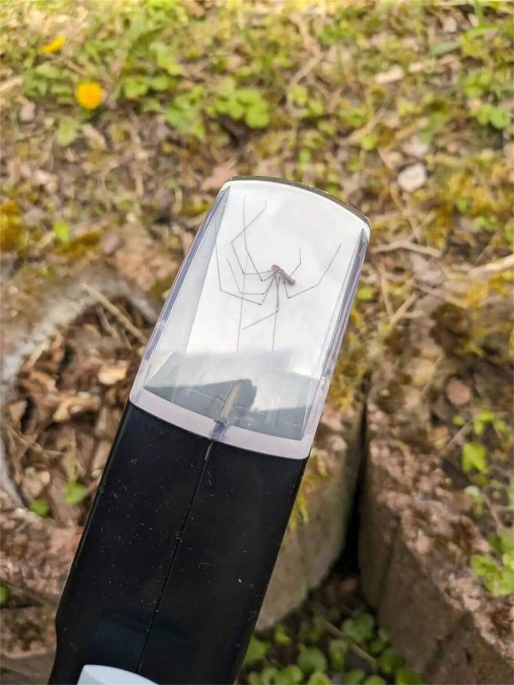 Handheld Insect Trap Spider Bee Cockroach Butterfly Capture Tool Qme
