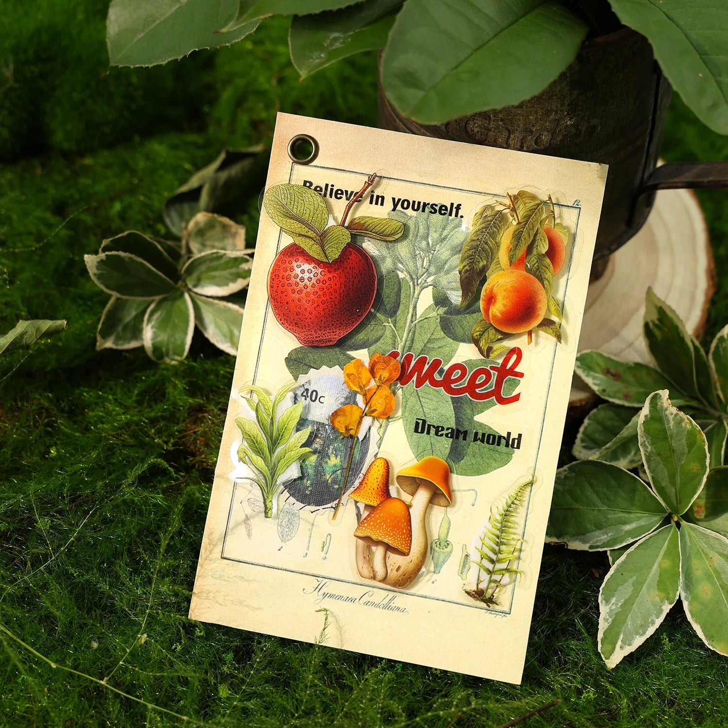 40 Pcs/pack Plant Flower Mushroom PET Stickers Diary Album Scrapbooking Supplies Planner Decorative Stationery Sticker Qme
