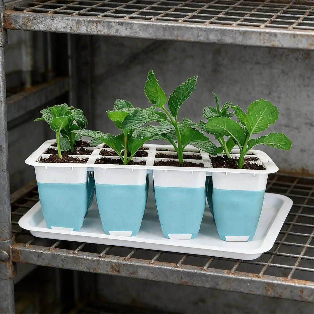 Seedling Tray 5 60 Cells Silicone Growing Starter Starting Indoors Qme