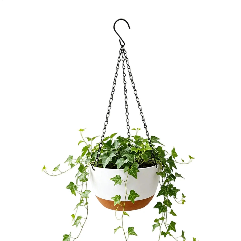 Planters Indoor Plants Hangable Flower Basket Removable Tray Pots Qme