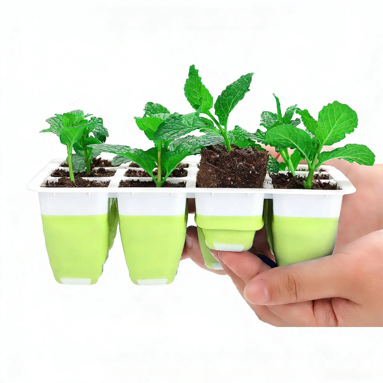 Seedling Tray 5 60 Cells Silicone Growing Starter Starting Indoors Qme