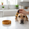Yegbong Pet Ear Cleaning Drops Remove Wax Dirt Relieve Itchy Odor Qme Default Title