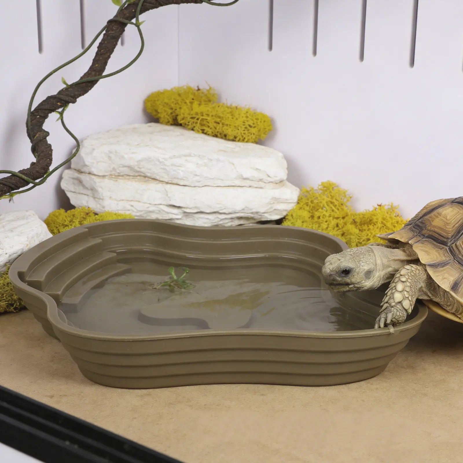 Extra Large Turtle Reptile Bathing Pool Stable Deep Soaking Tub Water Dish for Tortoise Hydration Indoor Outdoor Reptile Soak Qme Default Title