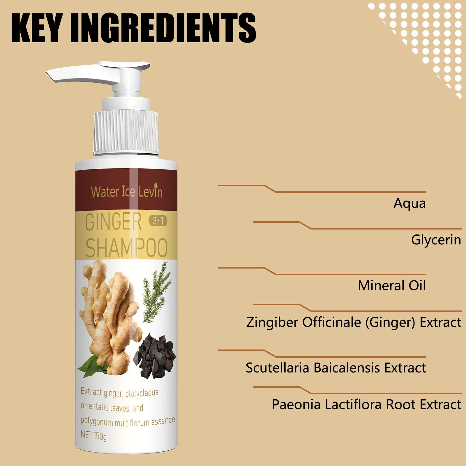 Ginger Regrowth Shampoo Anti Hair Loss Oil Control Dandruff Removal Moisturiz Nourish Scalp Repair Damaged Hair Growth Shampoo Qme
