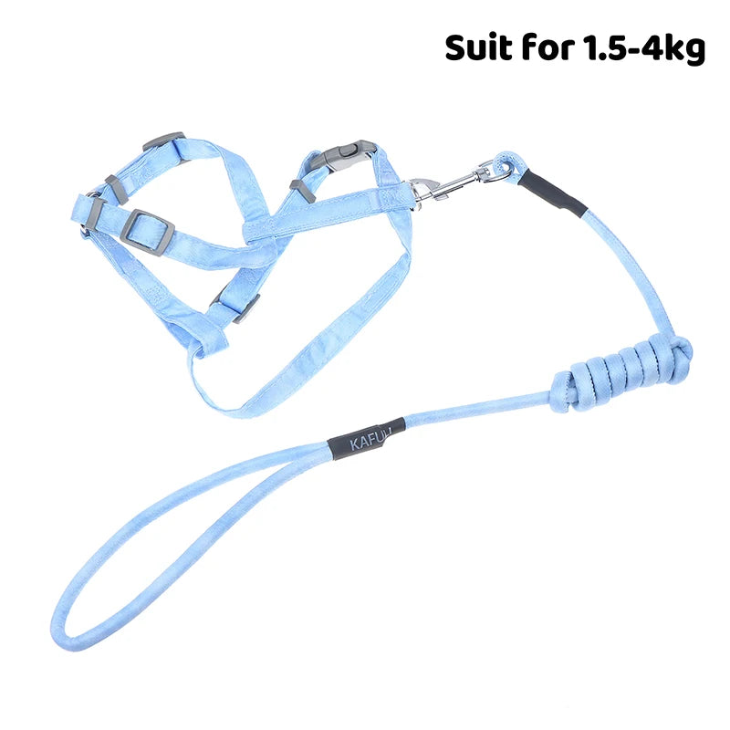 Kitten Harness Pet Traction Supplies Collar Small Cat Outdoor Leash Qme Blue S